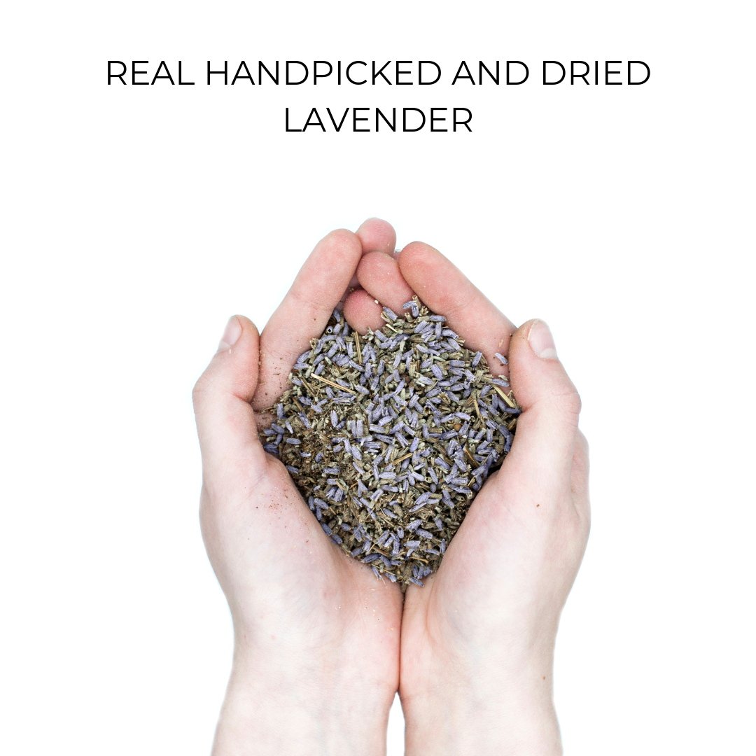 Organic Case - Lavender-1