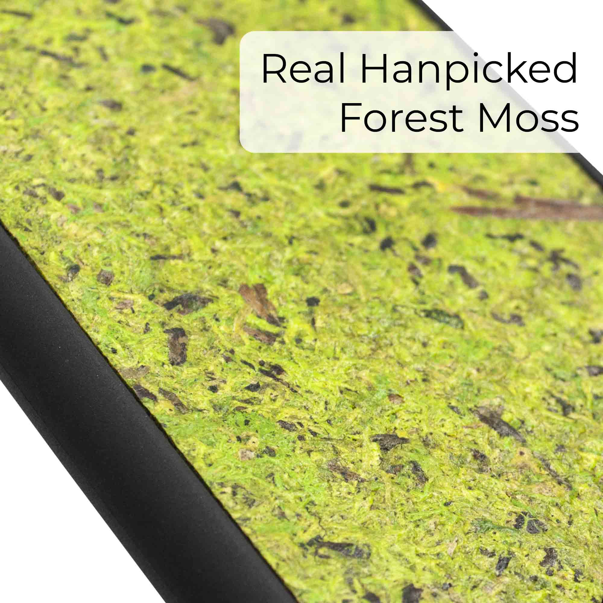 Forest Moss Phone Case-1